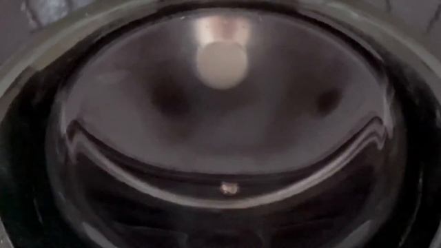 Стиральная машинка стирает смеясь и приносит деньги! Не фунты, но евро. Хорошего всем настроения смотреть онлайн