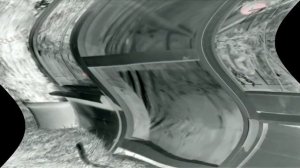 Аdvertising  Реклама Китикет Kitekat   Борис поймал пчелу In Feels Dizzy