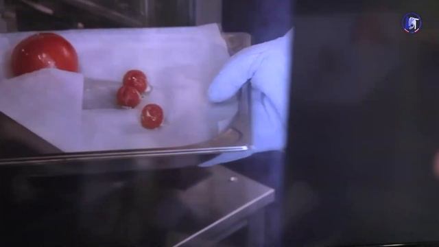 V Национальный чемпионат "Абилимпикс-2019" смотреть онлайн