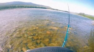 #21 выпуск|ловля Хариуса на реке Абакан|рыбалка в республике Хакасия