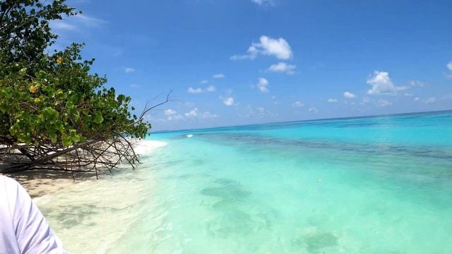 Maldives | Гуляем в Coco Palm Resort. Part 3 смотреть онлайн