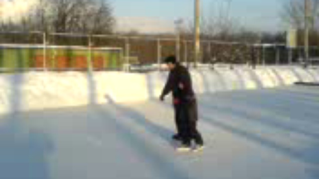 Семья коньки