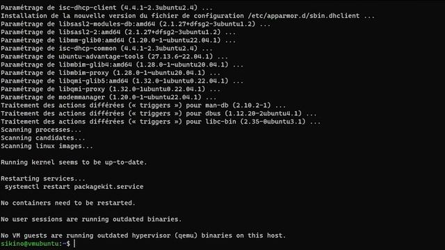 Utiliser Docker et déployer le Serveur | Programmez! - Serveur Minecraft Ep2 смотреть онлайн