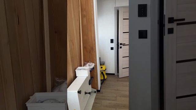 🌲Лесное шале в горах Дальнего востока. Видео обзор на стадии строительства. смотреть онлайн