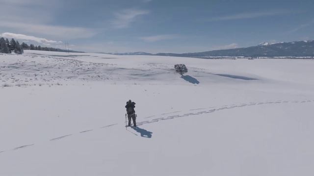 123 Hour Miracle Pitbull Found смотреть онлайн