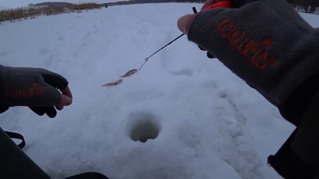 ПОСТАВИЛ ЭТУ МОРМЫШКУ И ПОШЛА ЖАРА! Рыбалка в глухозимье. смотреть онлайн