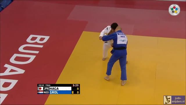 Judo 2014 Grand Prix Budapest: Haga (JPN) - Grol (NED) [-100kg] final смотреть онлайн
