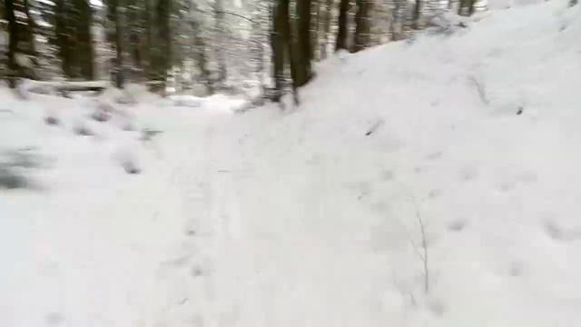 Їзда на лижах по лісі смотреть онлайн