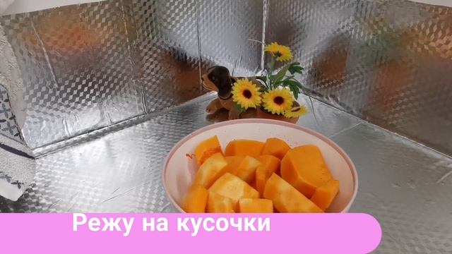 Сколько запекать тыкву в гриле Ninja. #рецептыдлягриля смотреть онлайн