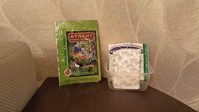 Предпосевная обработка семян и грунта.Эффективные препараты от болезней растений.22 января 2022г смотреть онлайн