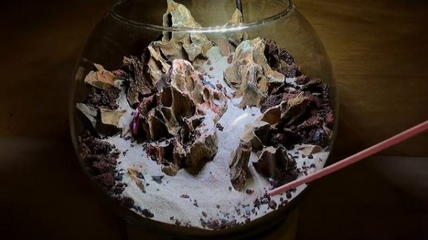 #hardscape #aquascaping #Хардскейп. Работа над ошибками.