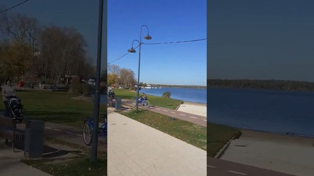 Солнечногорск пляж 2020г. смотреть онлайн