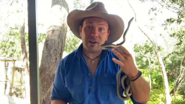The Oenpelli Python - The Ghosts of West Arnhem Land смотреть онлайн