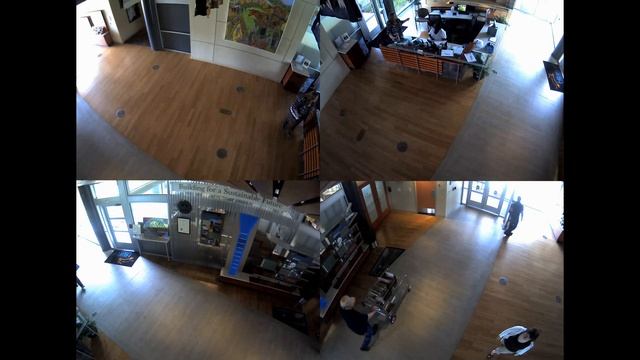 Wood Lobby 360 Degree Security Camera