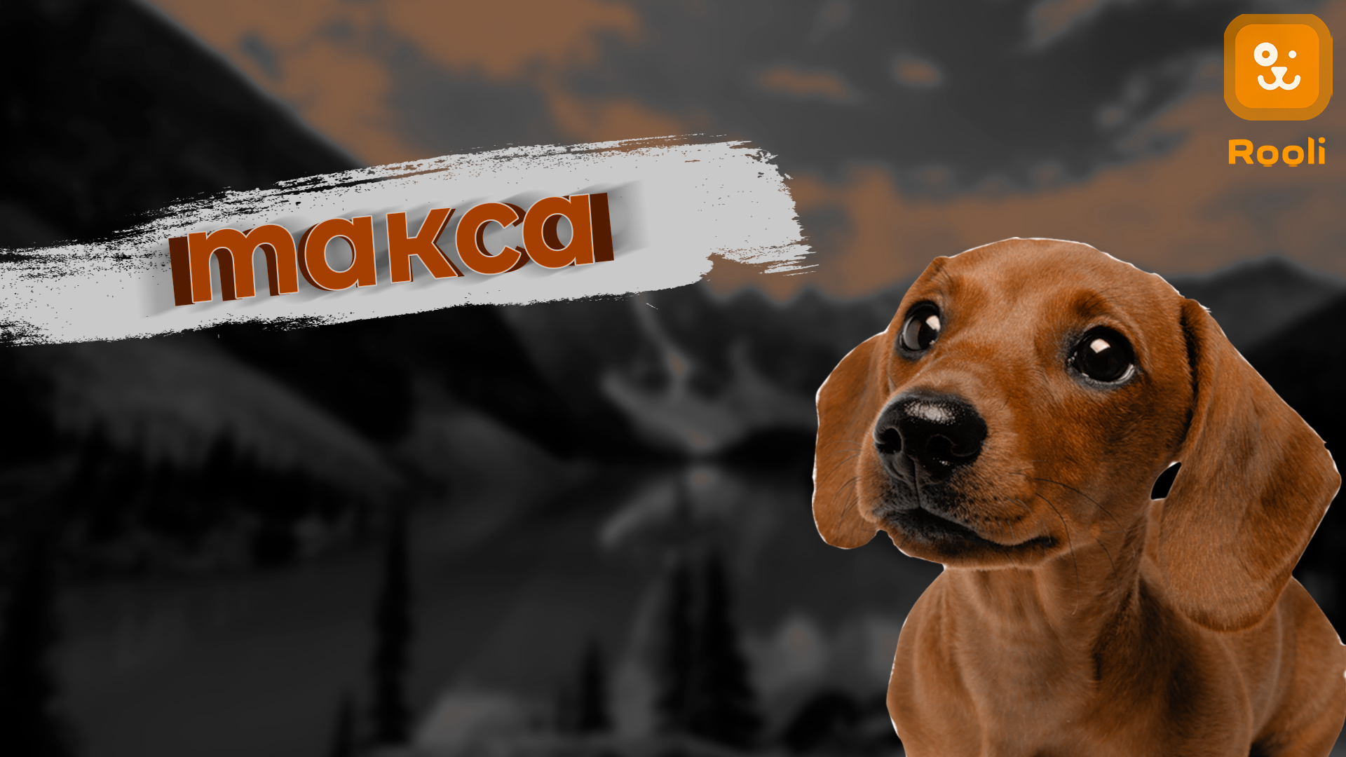 Такса: идеальный партнер и преданный друг смотреть онлайн