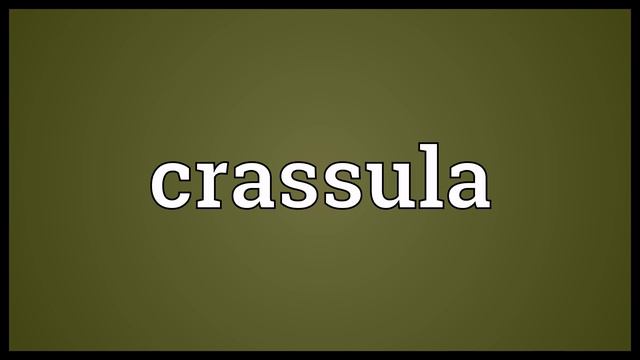 Crassula Meaning