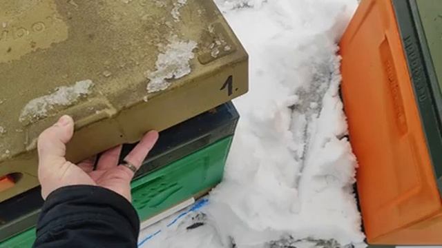 Проверяем пчёл . Проверяем подкорм (канди). смотреть онлайн