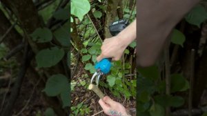 Обзор аккумуляторного инструмента 2в1 сучкорез + секатор