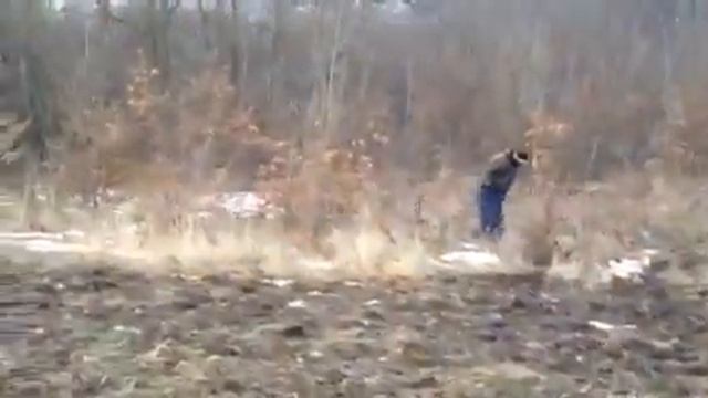 Антиквар К 750 бездоріжжя смотреть онлайн