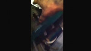 Замена натяжителя цепи Мурано