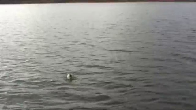 Осенняя рыблка на водохранилище смотреть онлайн