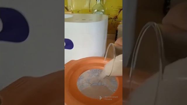 Делаем мятное мороженное с помощью мороженицы kitfort и некоторые новости смотреть онлайн