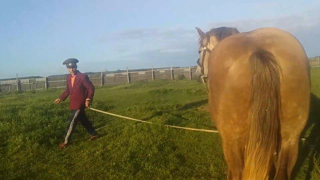 #ЛОШАДИ# и конюх ссылка под видео👇 смотреть онлайн