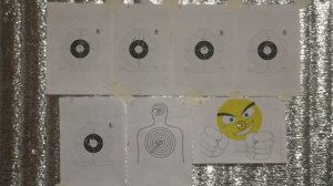 Тест НОВЫХ патронов  22 LR  Охотник 370Э и EXAKT TARGET. С ДТК и без. Карабин CZ 512 Carbine.