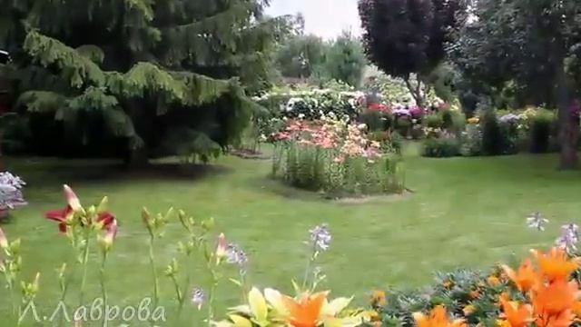 Цветочная сказка в нашем саду Потрясающая музыка 1 смотреть онлайн