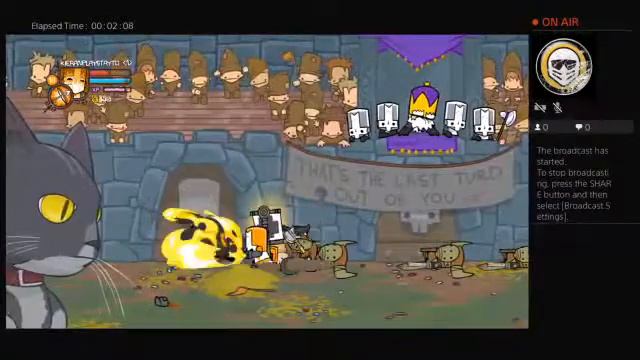 Castle Crashers LIVE permision смотреть онлайн