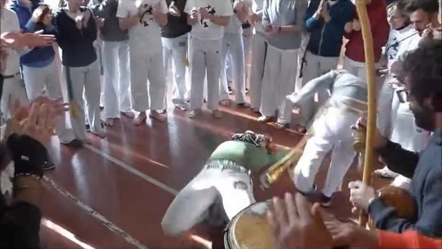 CAPOEIRA ALMA LIVRE BORRACHINHA - CM PRIMO (CORDAO DE OURO) смотреть онлайн