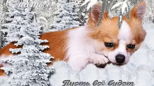 Собачка хлопает глазами смотреть онлайн