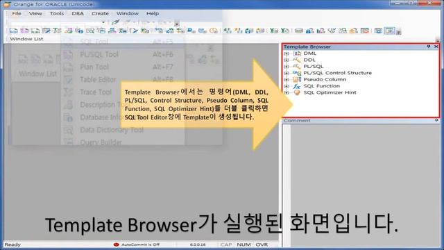 Orange for Oracle 6.0 Guide Chapter.11 - Template Browser를 통한 편리하고 빠른 SQL작성 смотреть онлайн