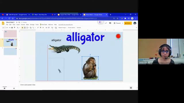 2020-11-18 Word Walls using Google Slides смотреть онлайн