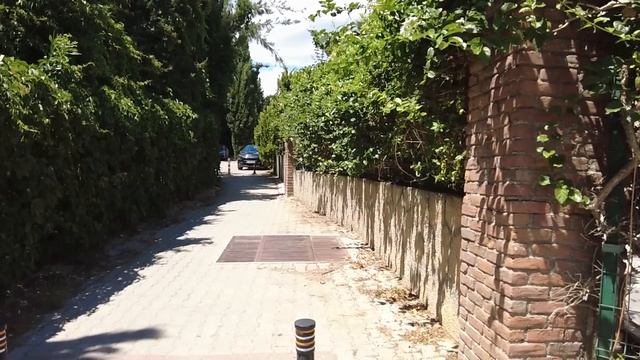 Блаженная нашла в лесу раненного немого и приютила у себя… А на утро вся деревня была в шоке… смотреть онлайн