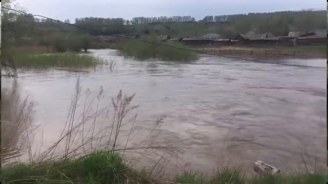 Прохождении паводка в крае на 19.05 с комментарием по Ермаковскому району смотреть онлайн