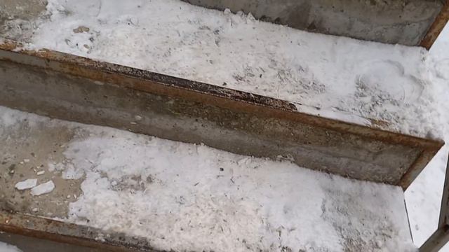 Отчет за 15 01 2024 смотреть онлайн