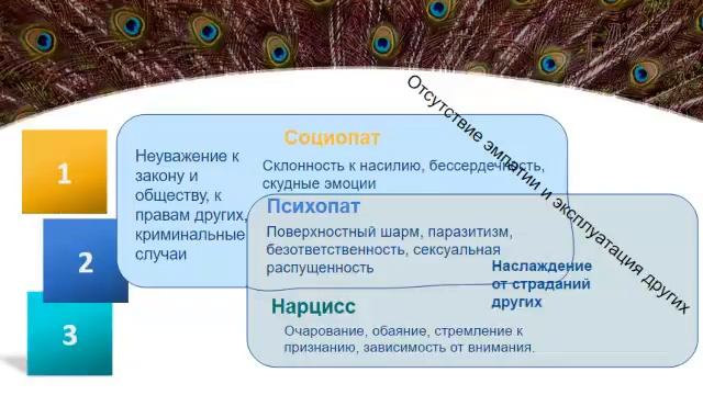 Знакомство с Нарциссом смотреть онлайн