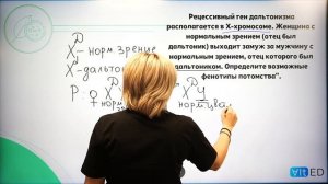 ГЕНЕТИКА! Сцепленное с полом НАСЛЕДОВАНИЕ.Подготовка к ЕГЭ 2022 по БИОЛОГИИ.