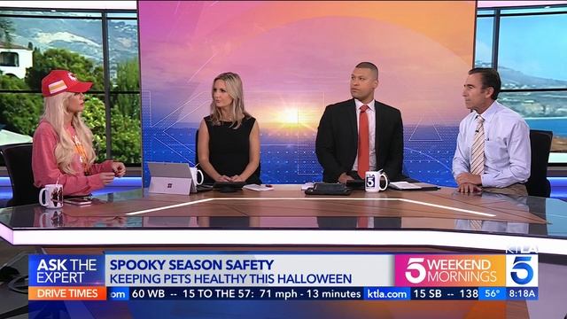 Spooky season safety tips to keep pets safe and healthy on Halloween смотреть онлайн