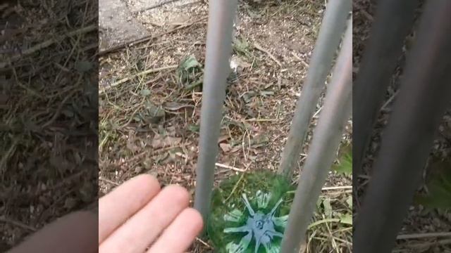 Лучшая поилка для кур смотреть онлайн