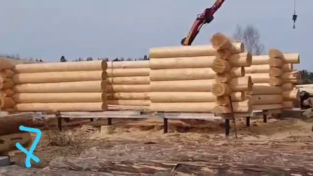 Сруб канадская чашка, сухой лес - Часть 7 смотреть онлайн