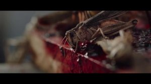 Рой ? Русский трейлер ?