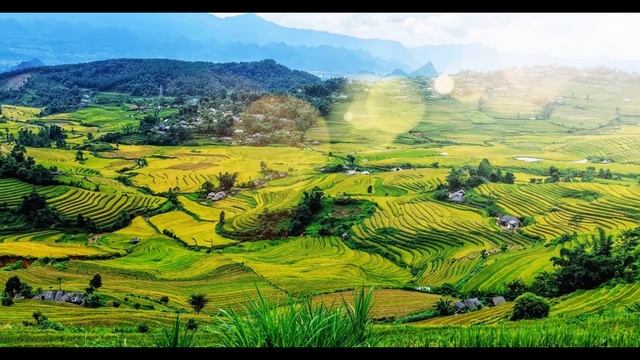 Лаос  История