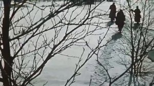 Вечера на хуторе близ Диканьки 1961 ?