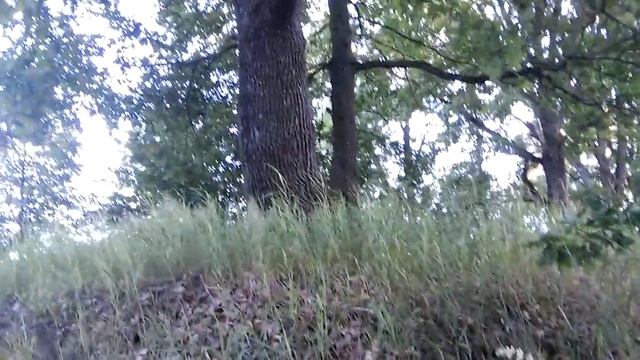 Затерянный пляж на Десне поворот к Борче смотреть онлайн