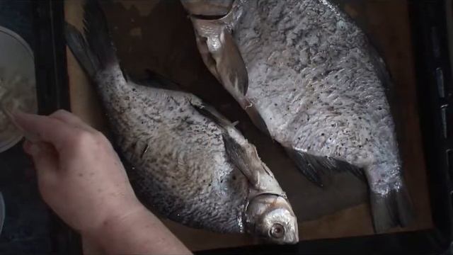 Веганские Рецепты