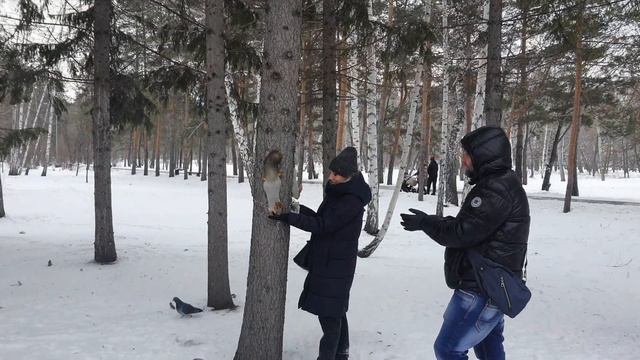 191. Дневник погоды 2.01.22 Омск смотреть онлайн