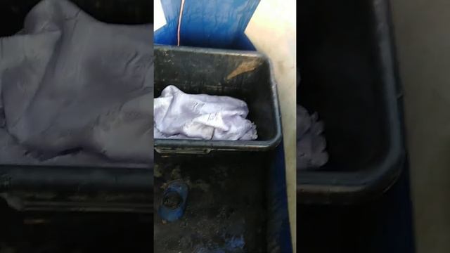 Рыбалка на амура на Кубани смотреть онлайн