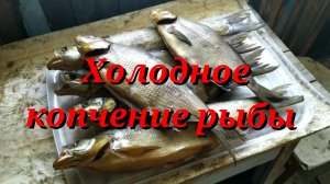 Холодное копчение рыбы.